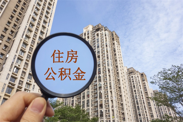 台湾离职取出公积（离职取出公积金要什么手续）